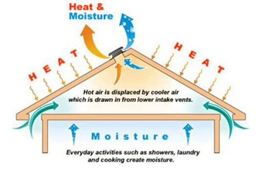 Heat and Moisture