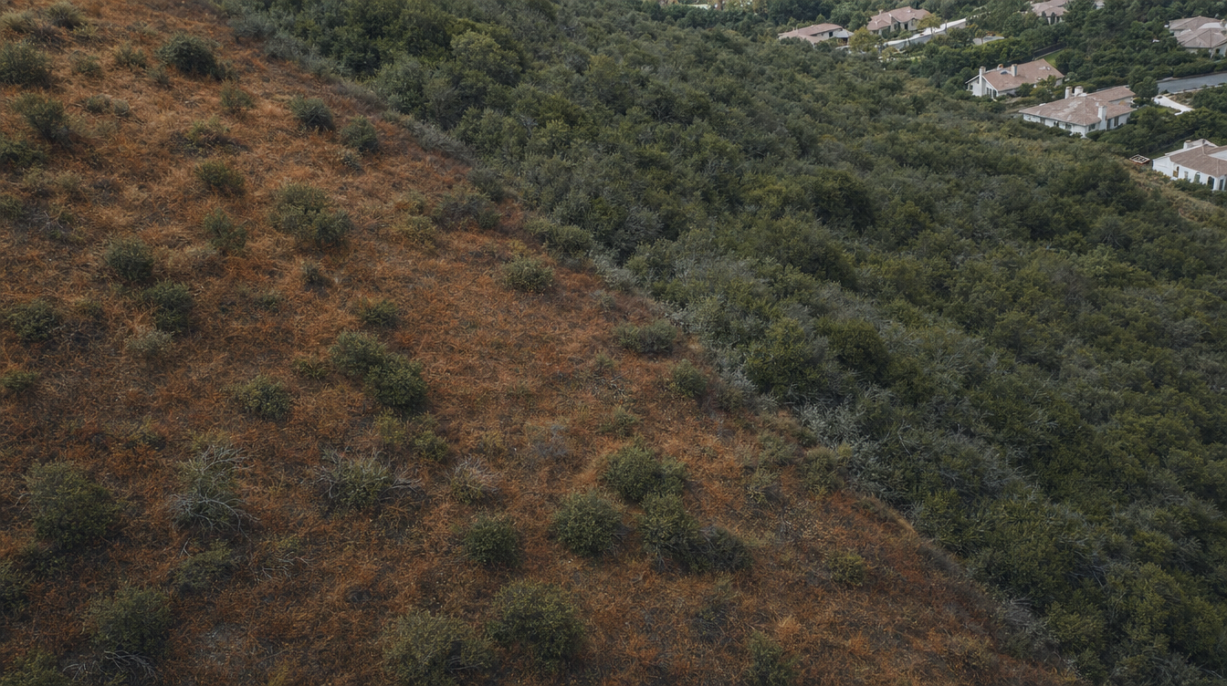 Hillside vegetation where a treated band meets untreated brush in a clean line